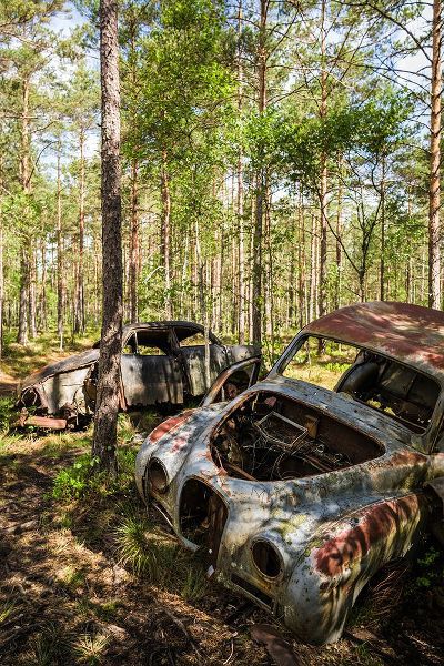 Bibikow, Walter 아티스트의 Sweden-Smaland-Ryd-Kyrko Mosse Car Cemetery-former junkyard now pubic park-junked cars작품입니다.